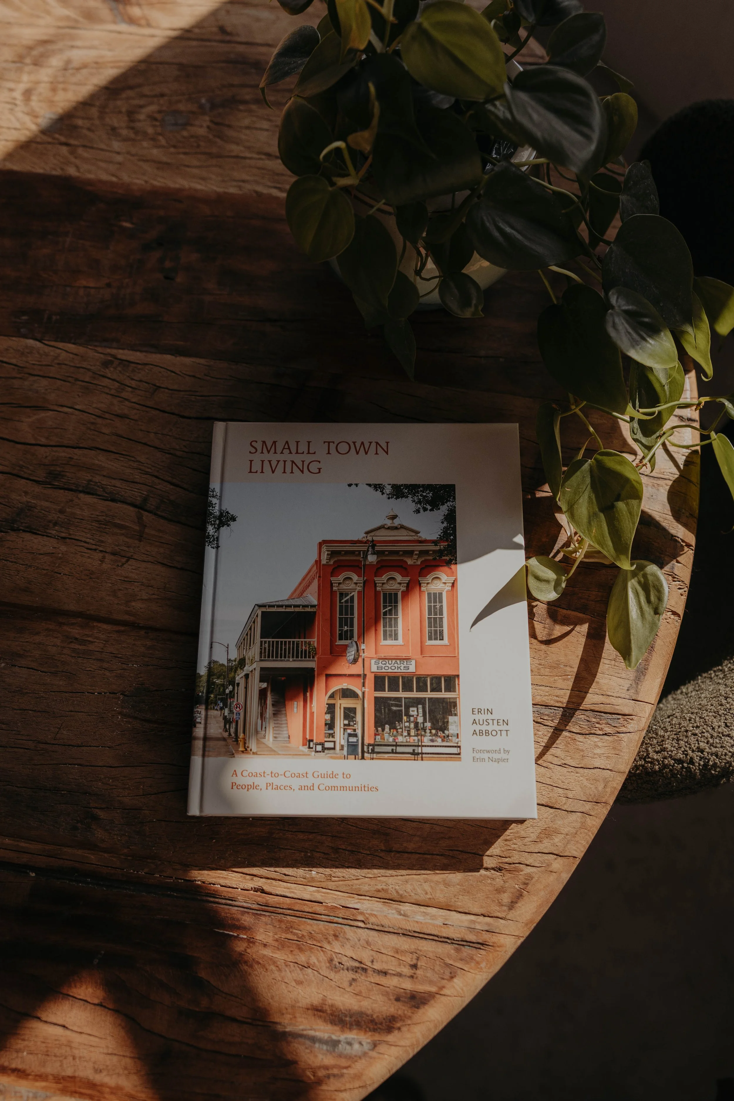 A book titled 'Small Town Living' is on a wooden surface, next to a potted plant with green leaves, and sunlight casting shadows.