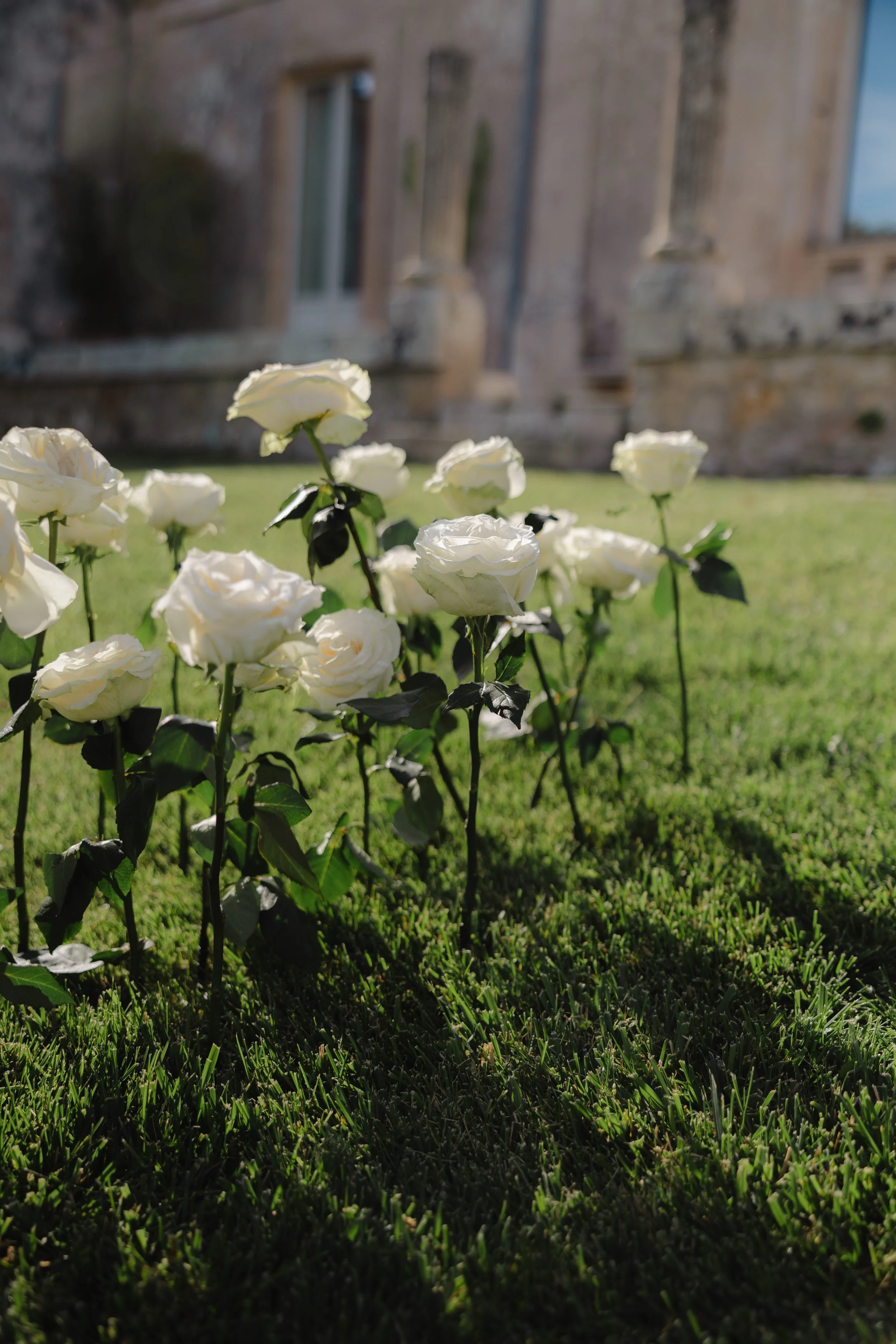 Jack Amy re-edits-59.jpg