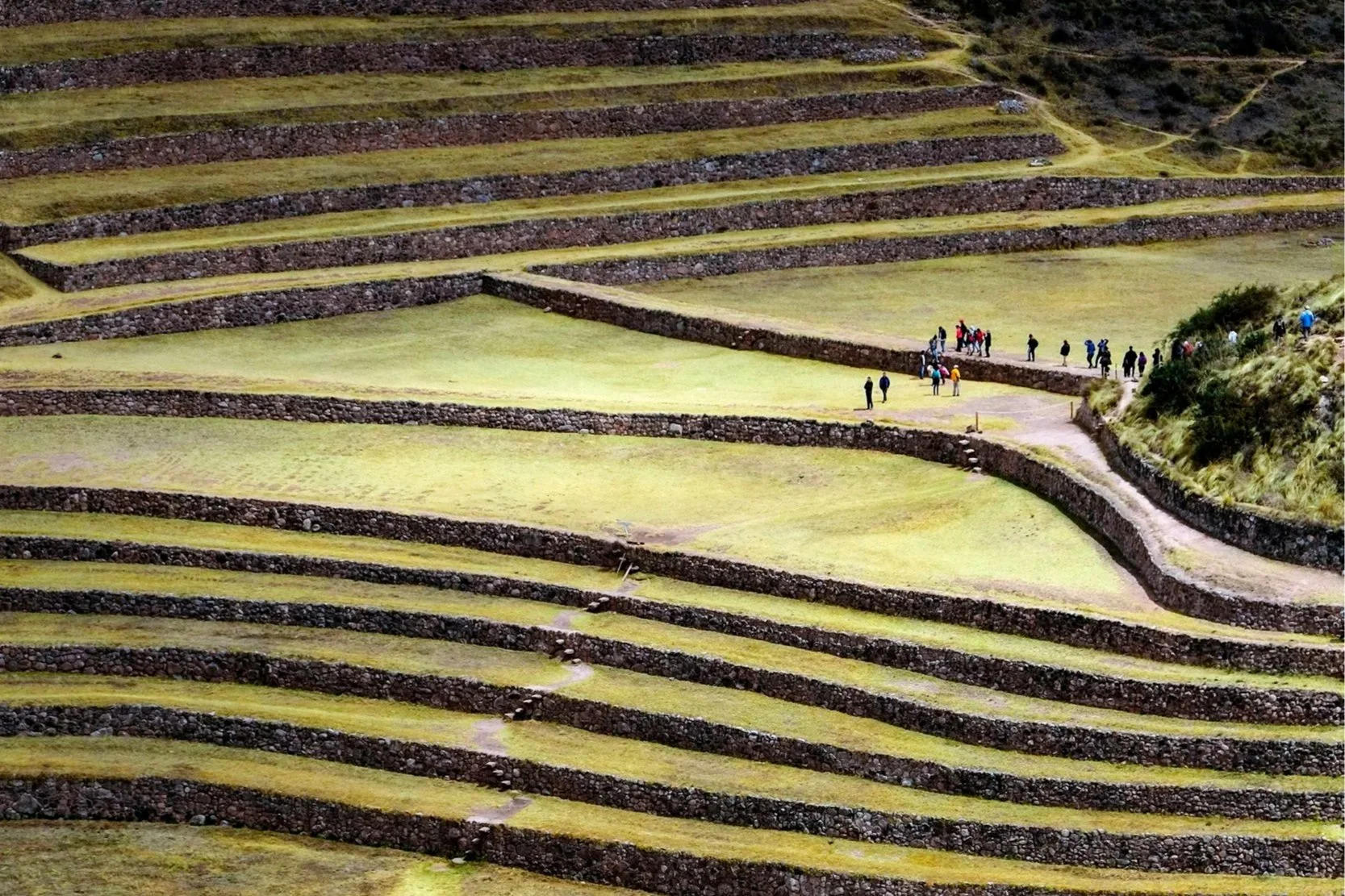 Terraced agricultural fields on a hillside with pathways and a group of people walking along one of the paths.