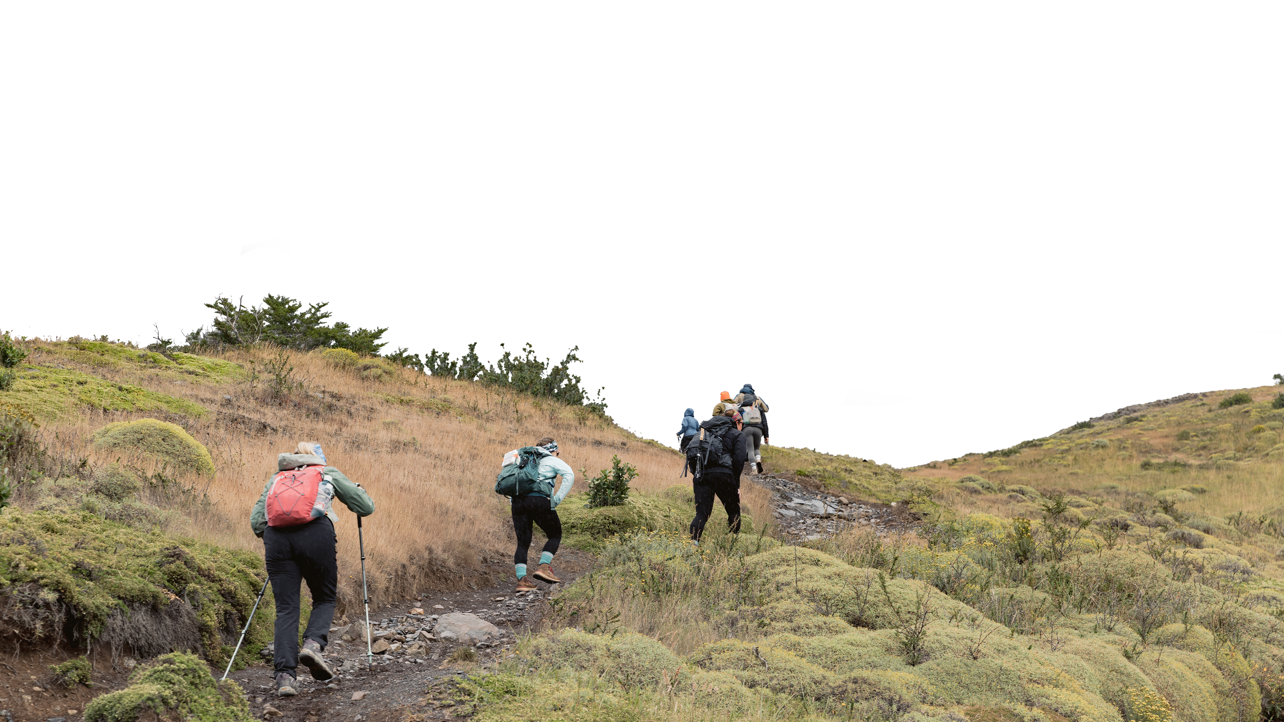 Group of hikers ascending a rocky trail on a grassy, hilly landscape with some bushes and trees under a cloudy sky.