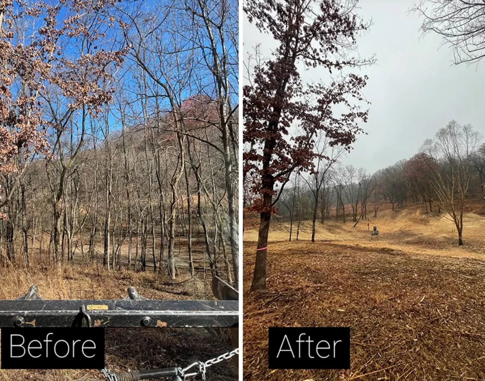 Side-by-side comparison of a wooded landscape before and after clearing. The left side shows a dense forest with leafless trees and a clear blue sky, while the right side shows a cleared area with fewer trees, open space, and a cloudy sky.