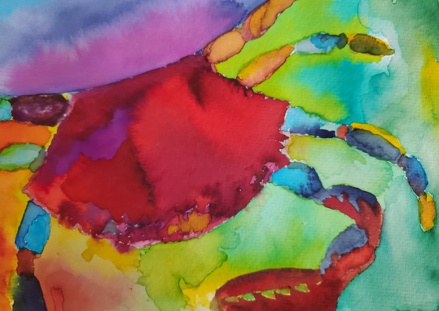 Molly+Gilbert+watercolor+example-crab.jpg