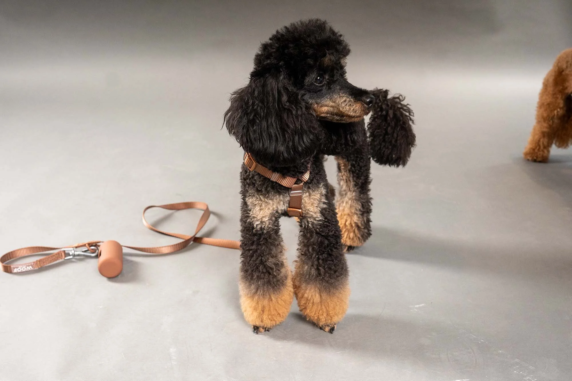 Photo 28-10-2025, 10.34.jpg