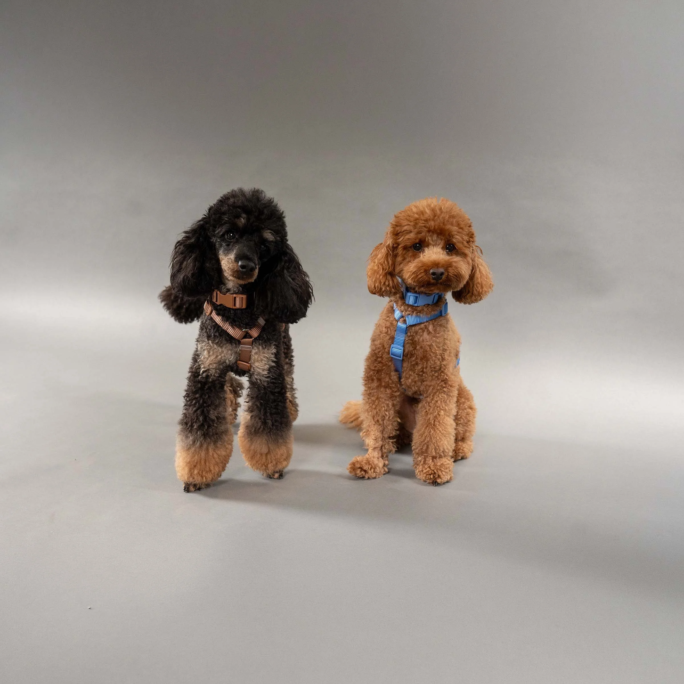 Photo 28-10-2025, 10.30.jpg