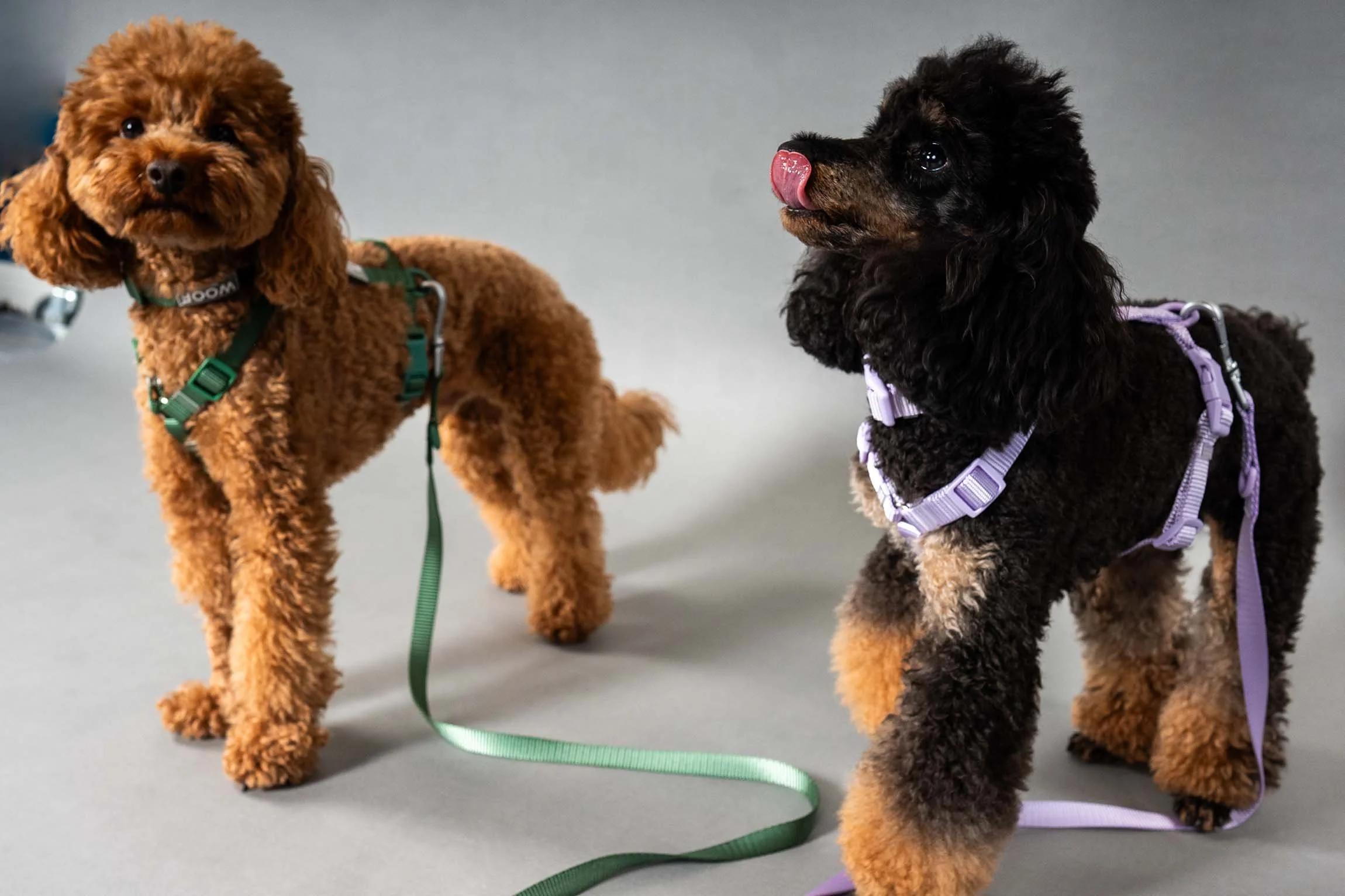 Photo 28-10-2025, 10.15.jpg