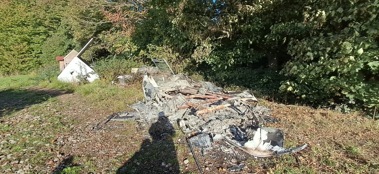 Remains of a crashed airplane in a grassy area with trees in the background.
