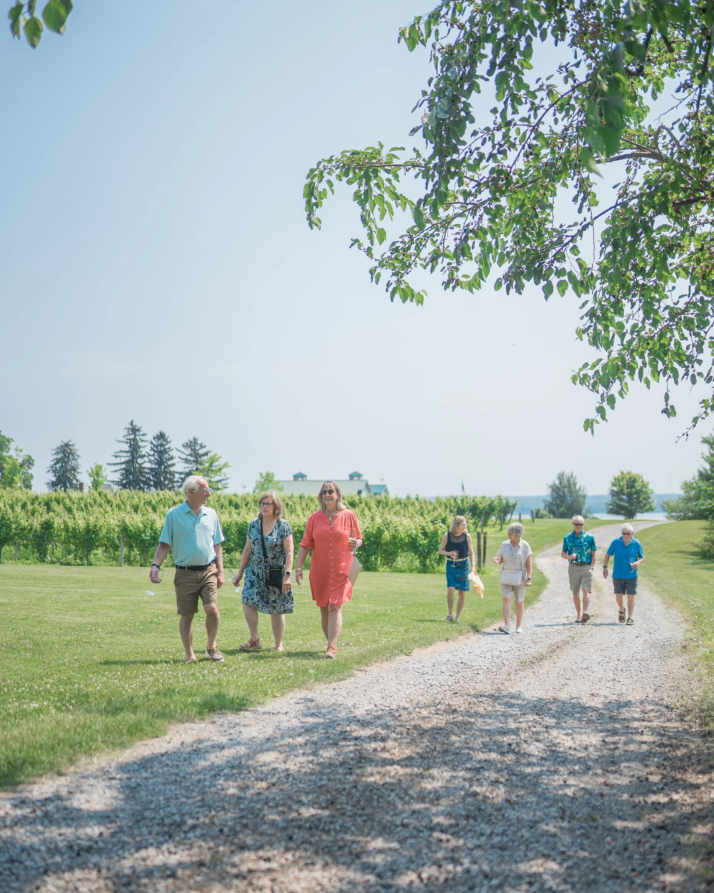 large group in vineyards for a winery tour