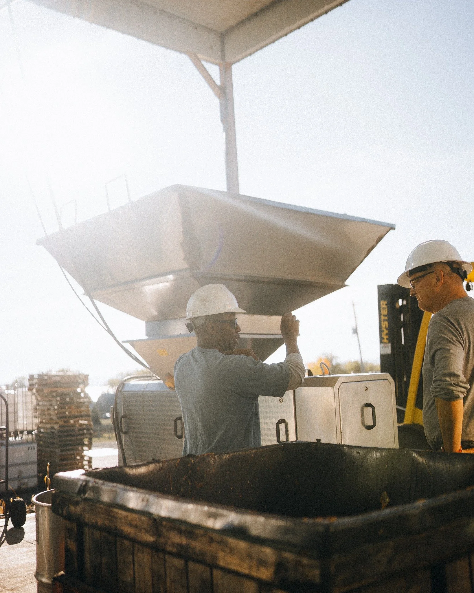 two men harvesting and processing wine grapes
