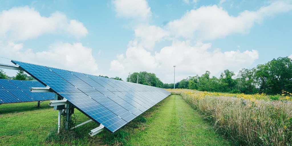solar panels on property