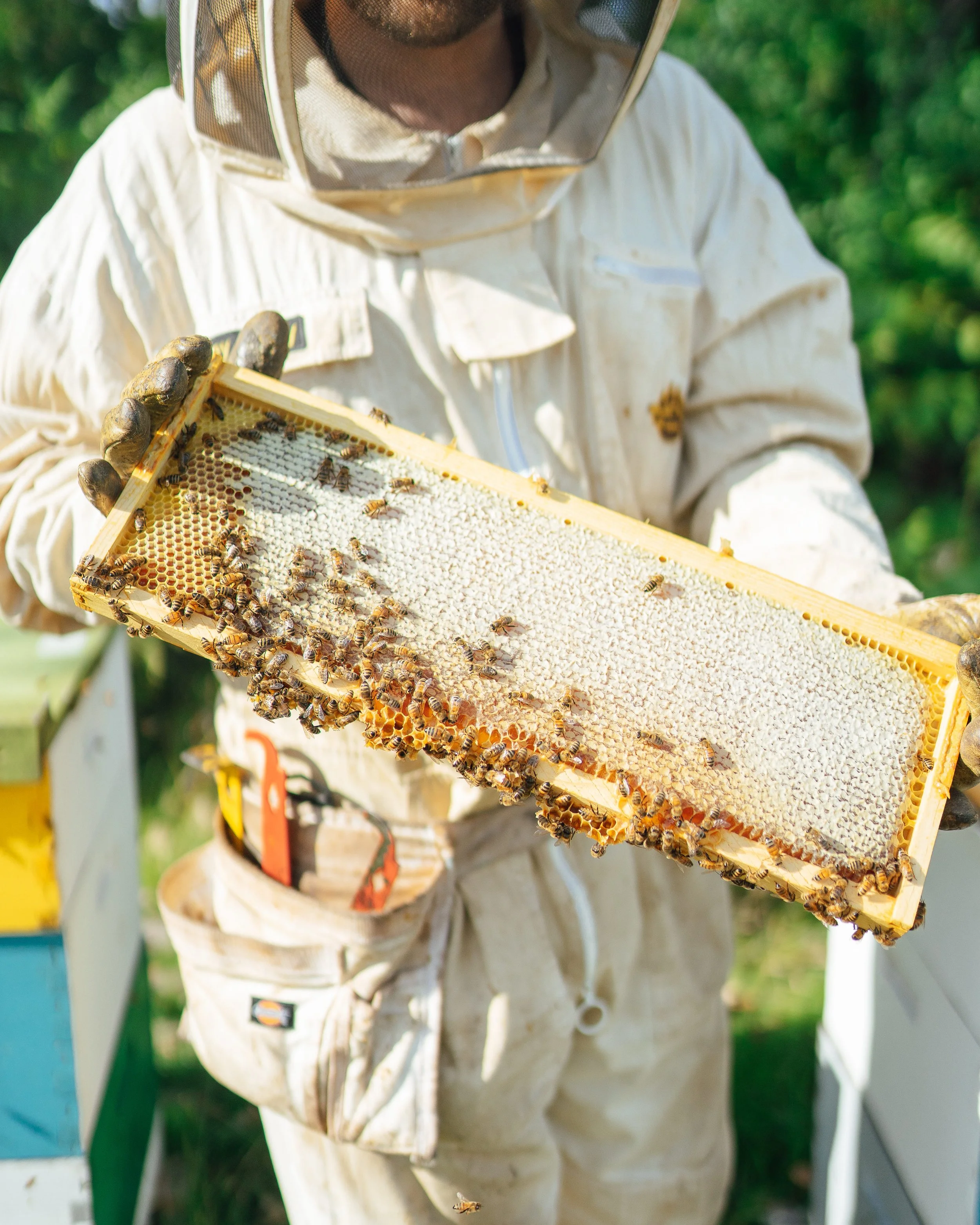 beekeeper with honey