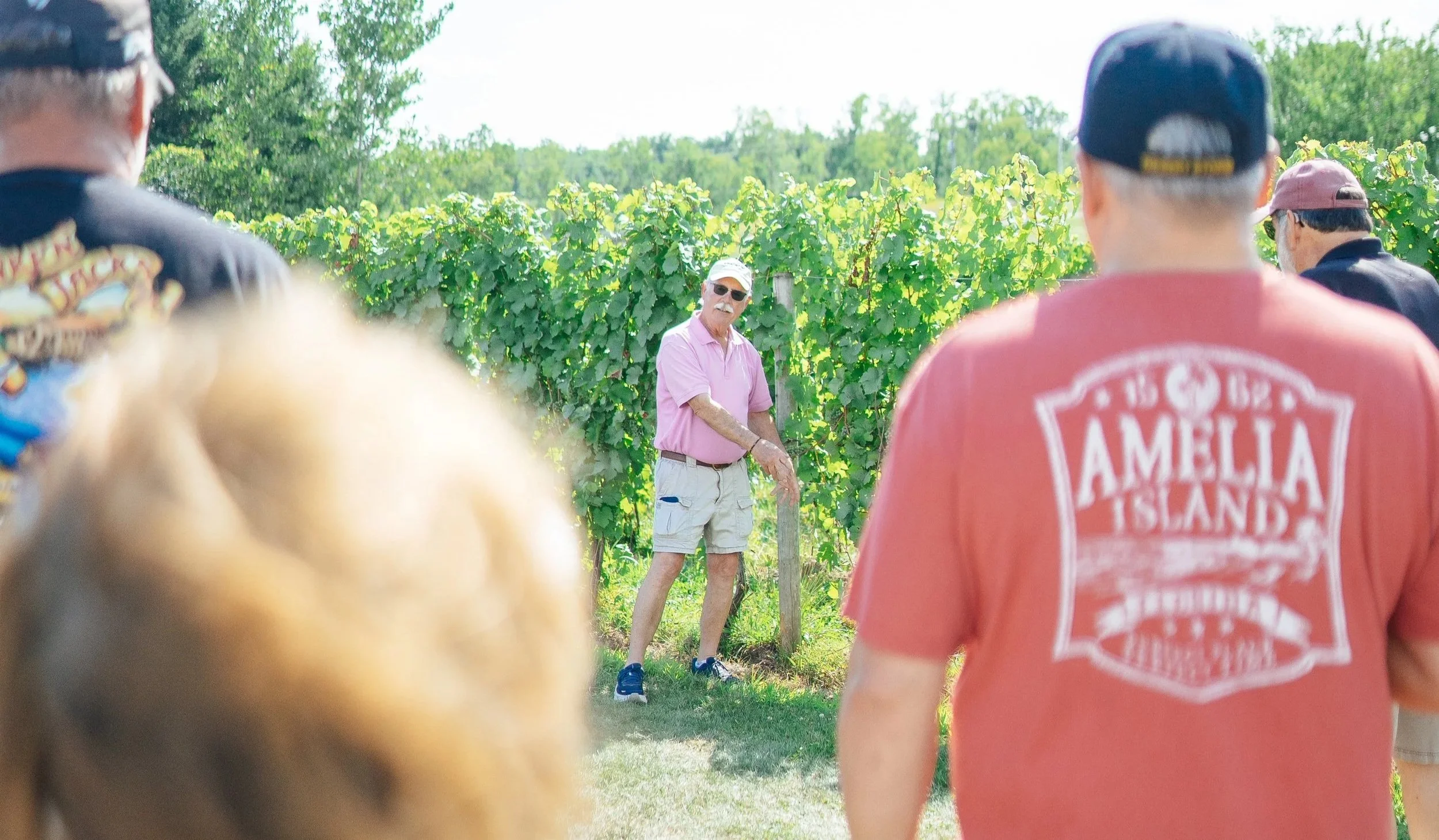 someone standing next to grape vines