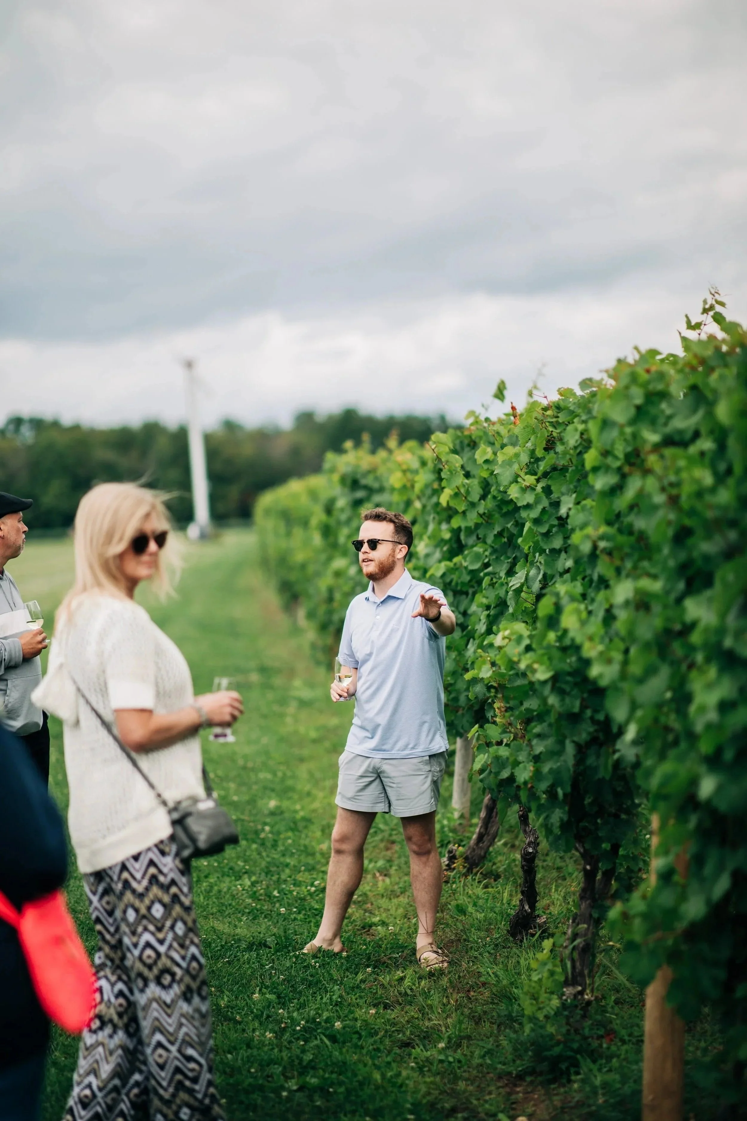 guided vineyard tour