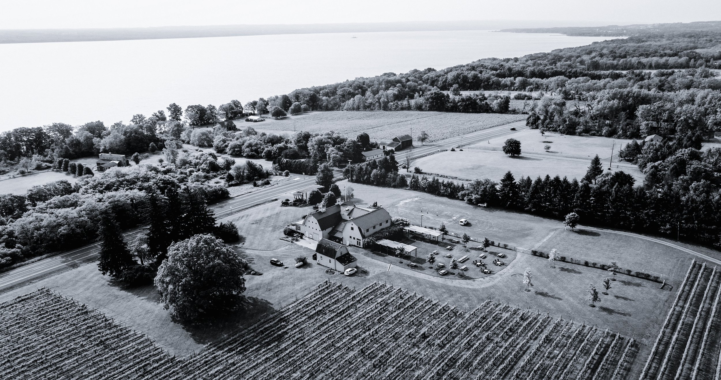 Fox Run vineyards on Seneca Lake