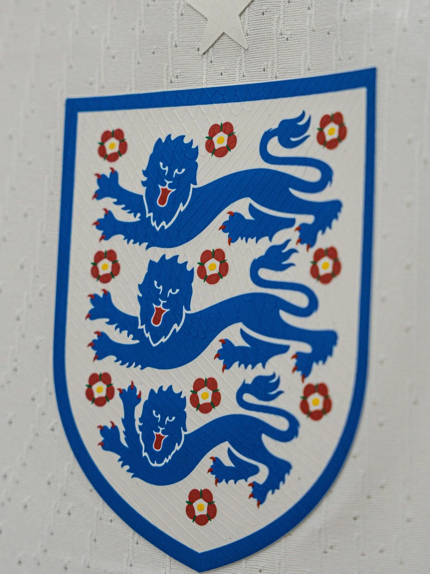 Project: England - A World Cup Special Blog
