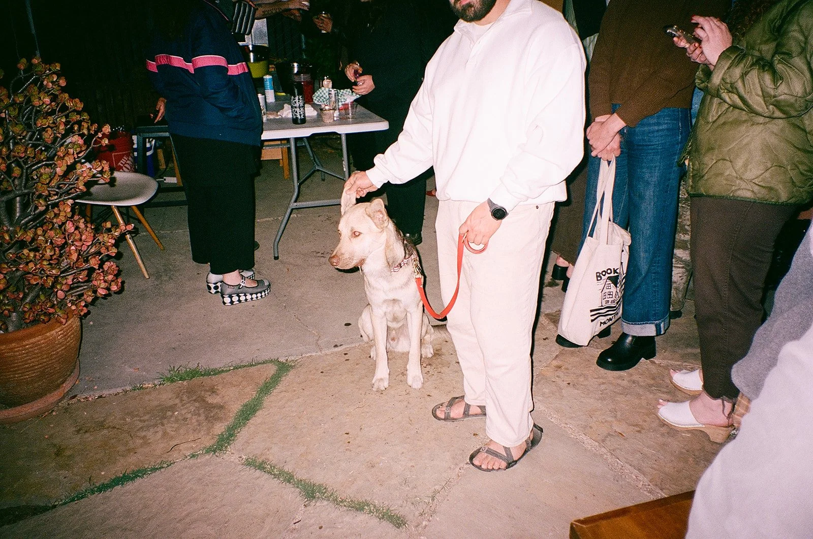 Person holding a dog on a leash among a group of people at an outdoor gathering or party, with food and drinks on a table in the background.