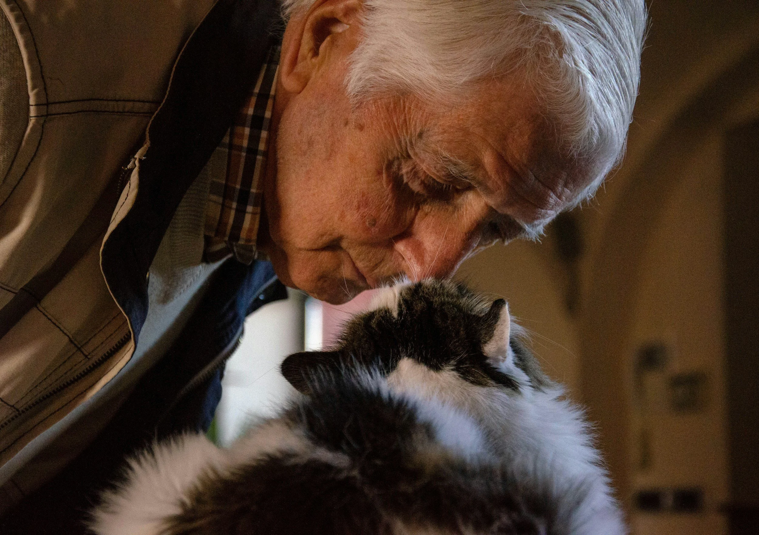 An elderly man with gray hair and a beard kissing a black and white kitten.