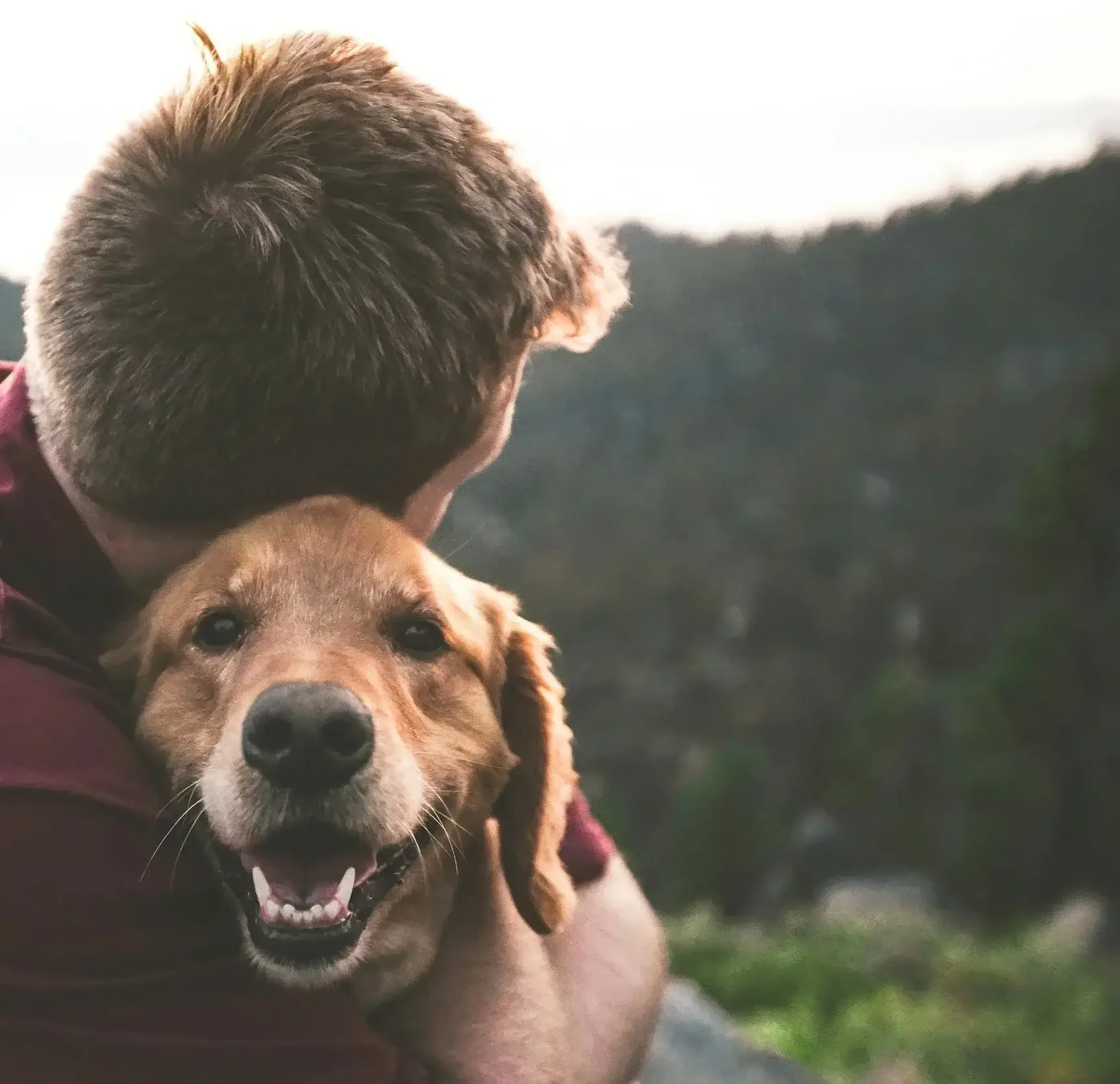 A person holding a happy brown dog with floppy ears and a black nose, outdoors with a blurred landscape background.