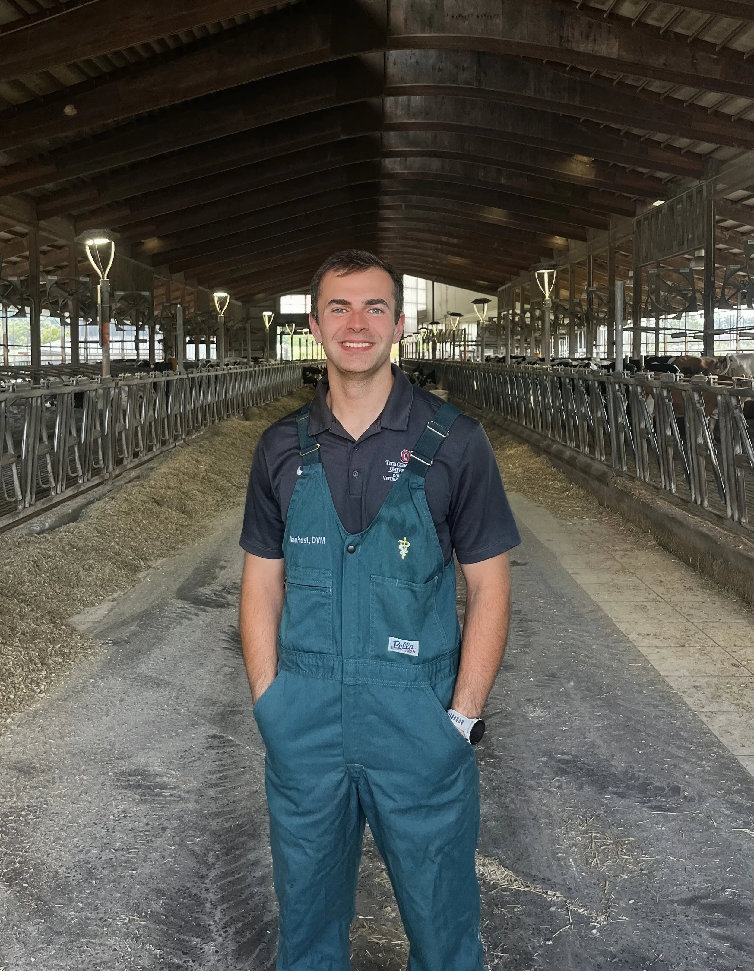 Mlae vet in barn