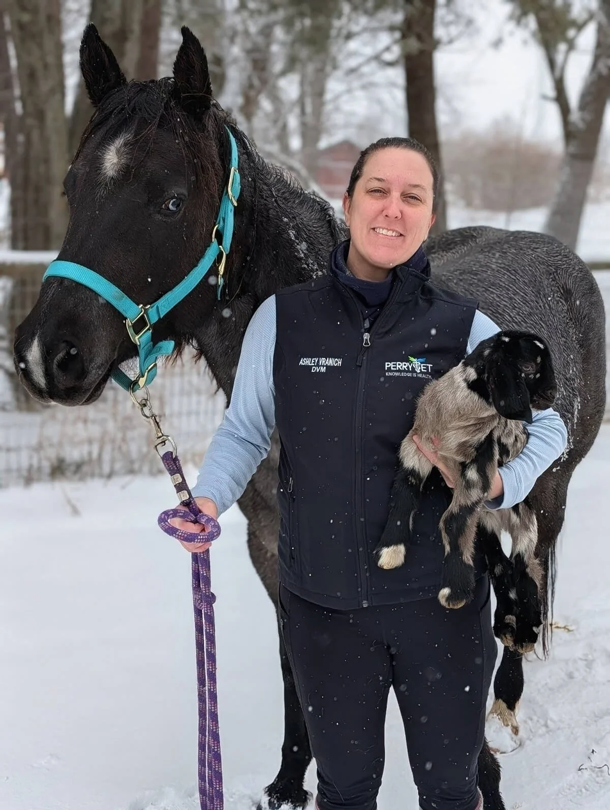 A woman standing outside in snow holding a baby goat while a large black horse stands beside her. The woman is smiling, dressed in dark winter clothing, and the horse is wearing a bright blue halter. The background features snow-covered ground and trees.
