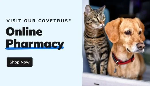 Advertisement for online pharmacy with a tabby cat and a golden retriever dog.