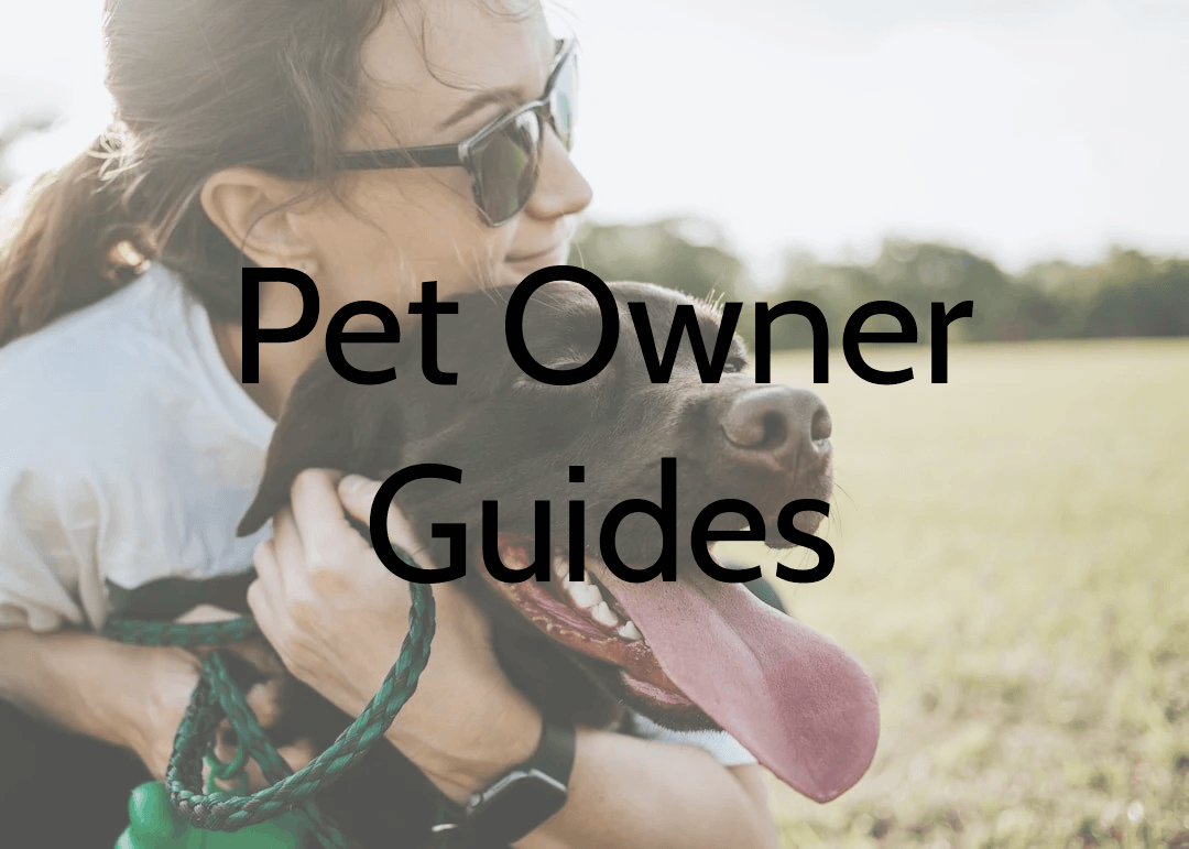 A woman with sunglasses hugging a happy black dog outdoors in a field.
