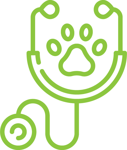 Green veterinary stethoscope with paw print design