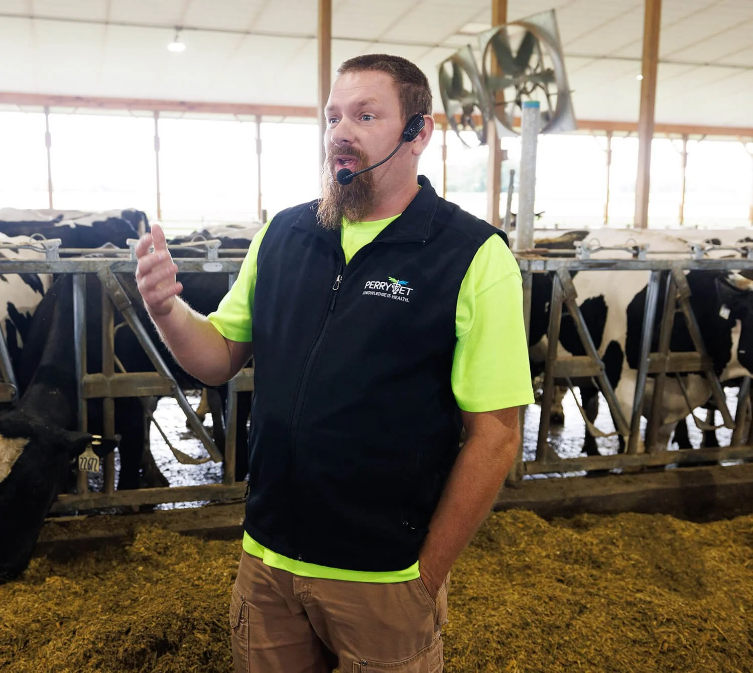 A man with a beard and headset speaking in a barn with cows in the background.