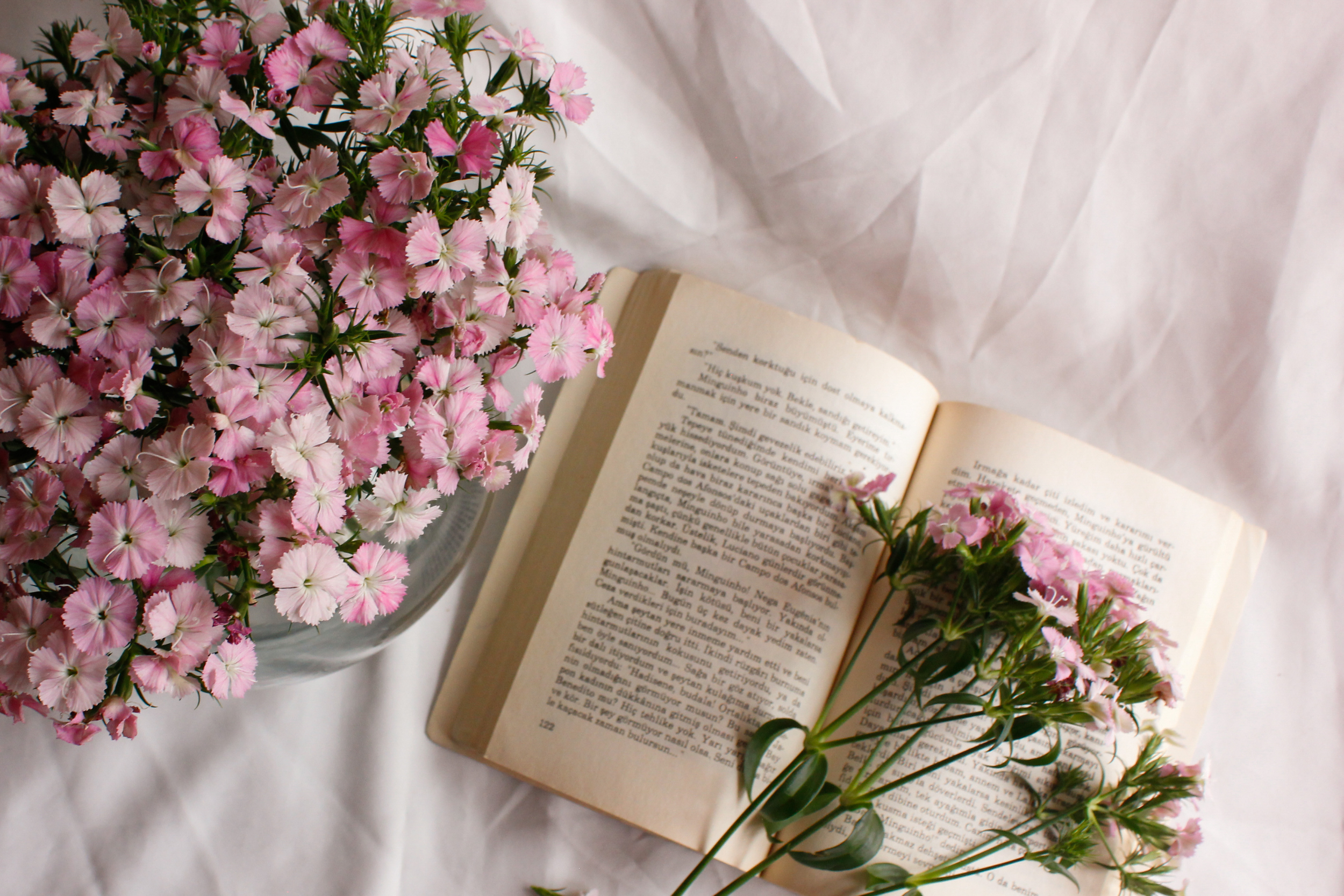 Book Club Q&amp;A