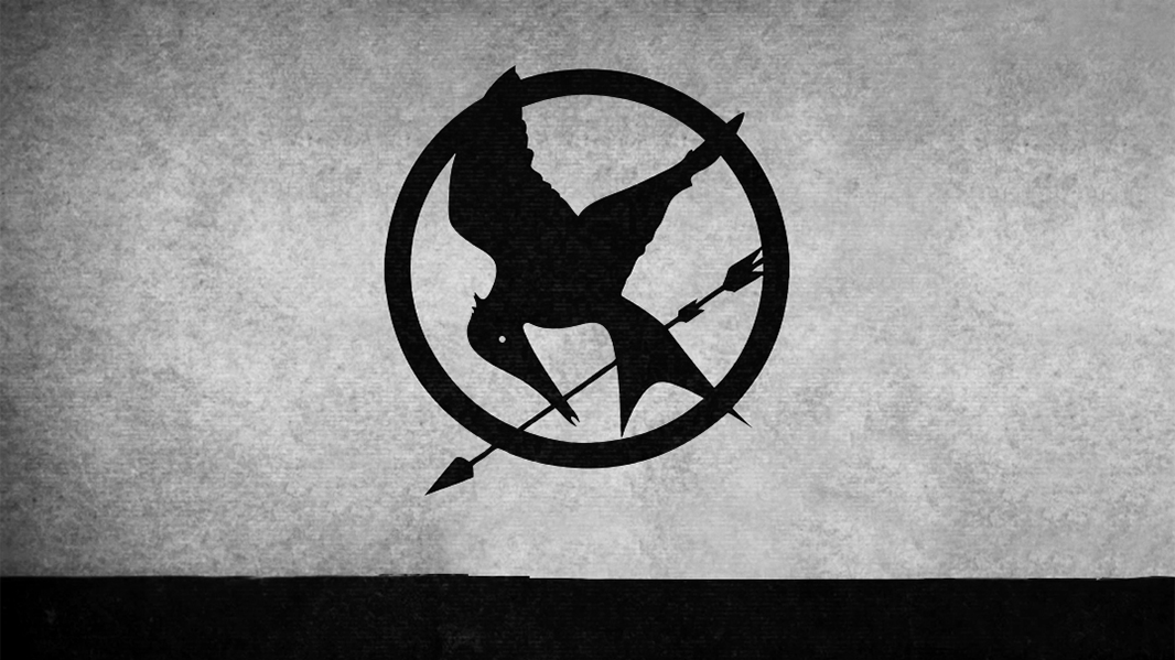 Mockingjay_Projektbilder5.png