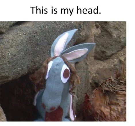 Vanessa L'Asinessa musetto