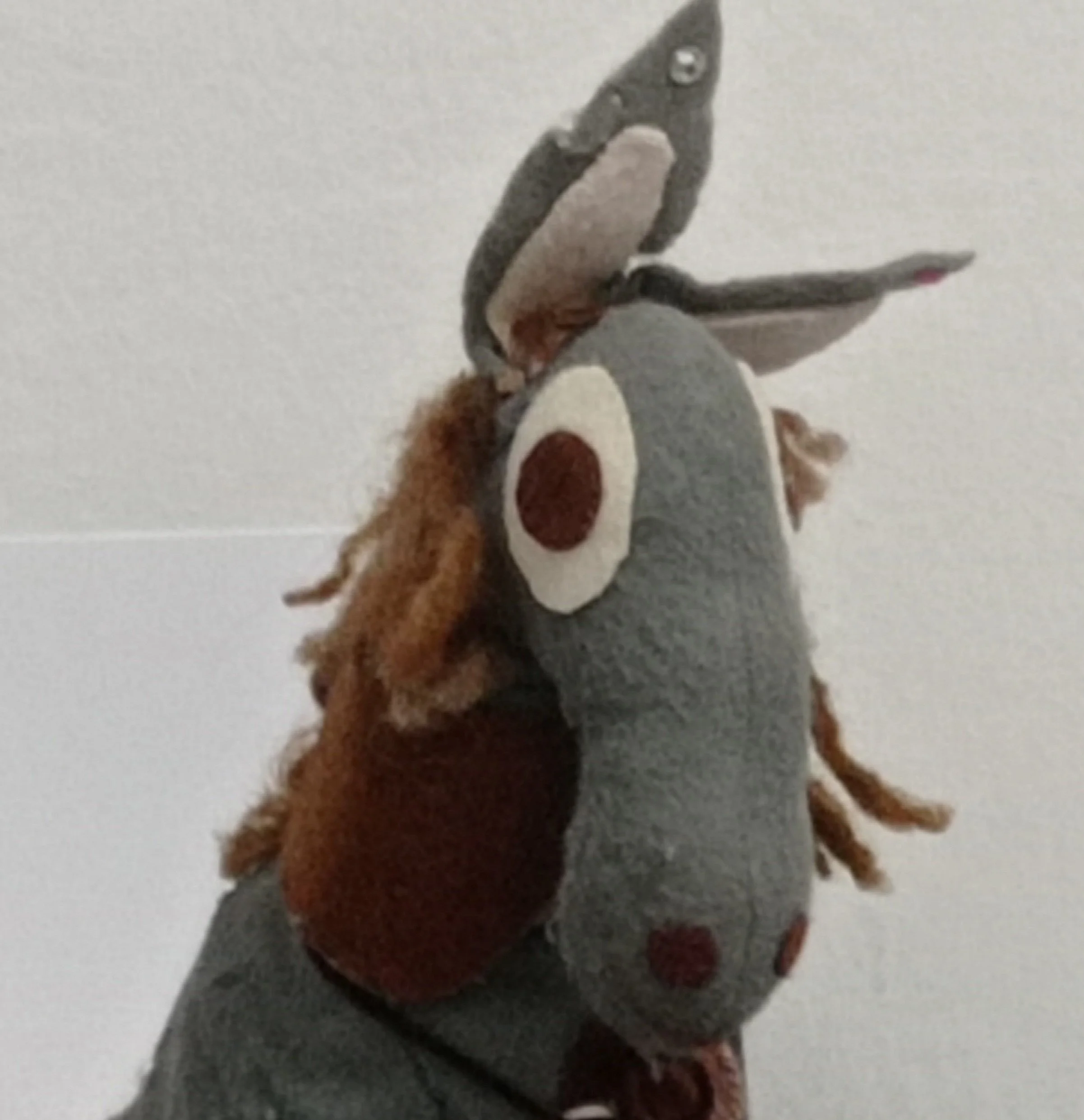 Asinella made in Pantelleria