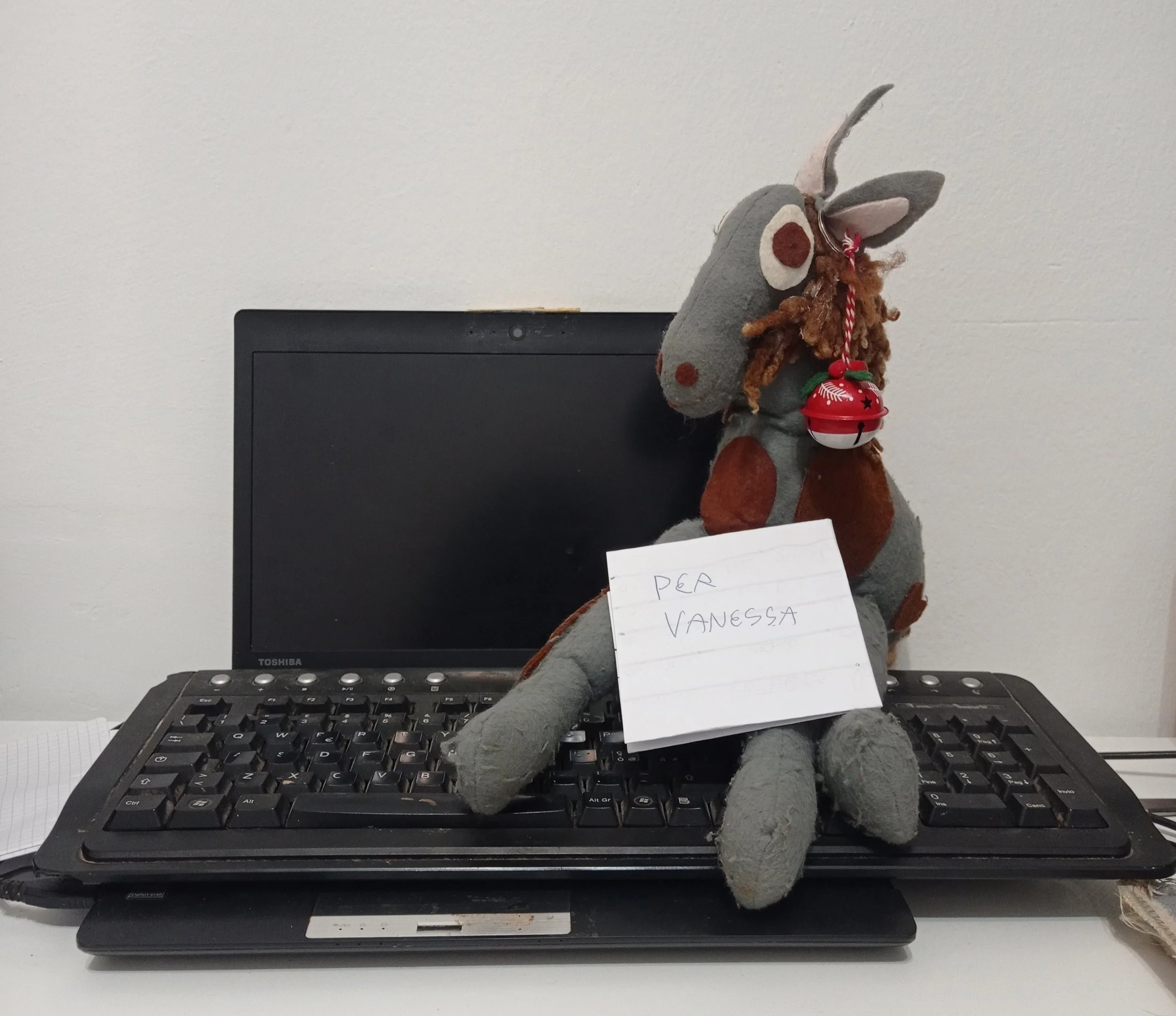 Vanessa L'Asinessa di Pantelleria e la lettera di una bambina per lei.