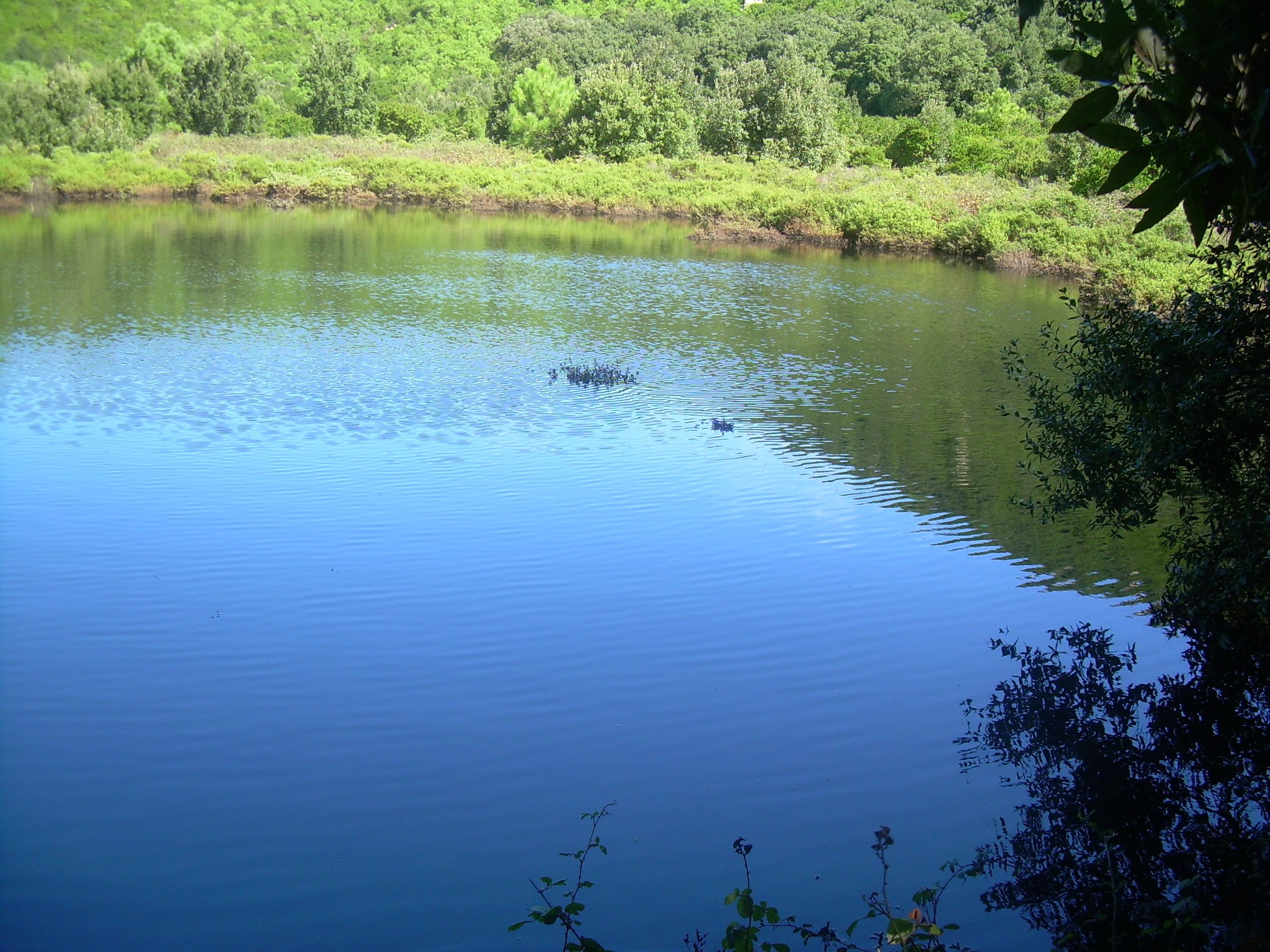 Laghetto di Monte Gibele anno 2008.
