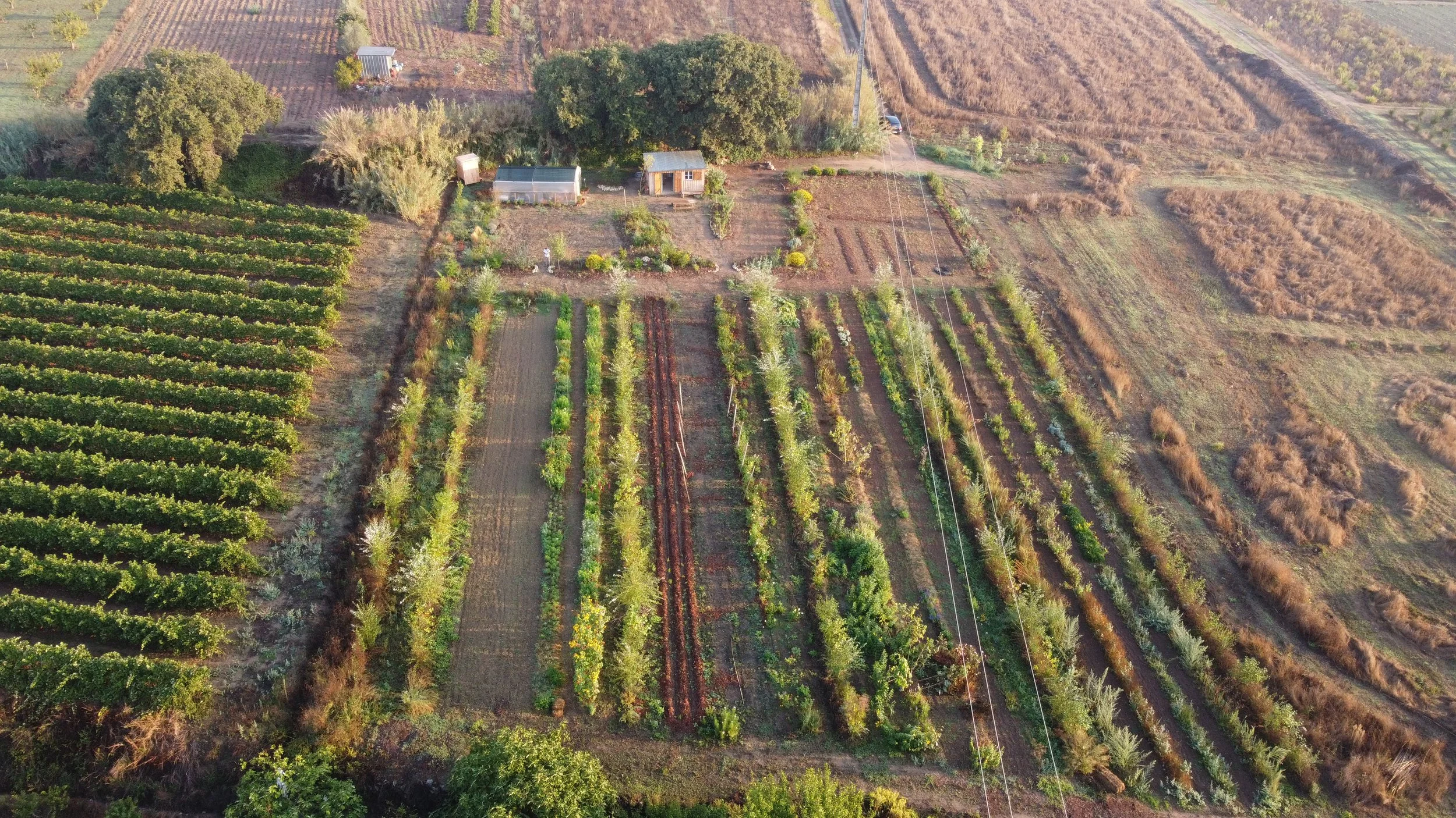 DJI_0449.JPG
