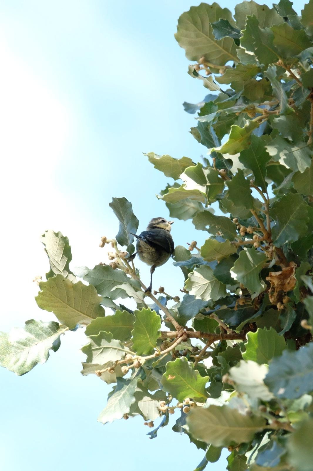 WhatsApp Image 2026-04-13 at 14.47.37.jpeg