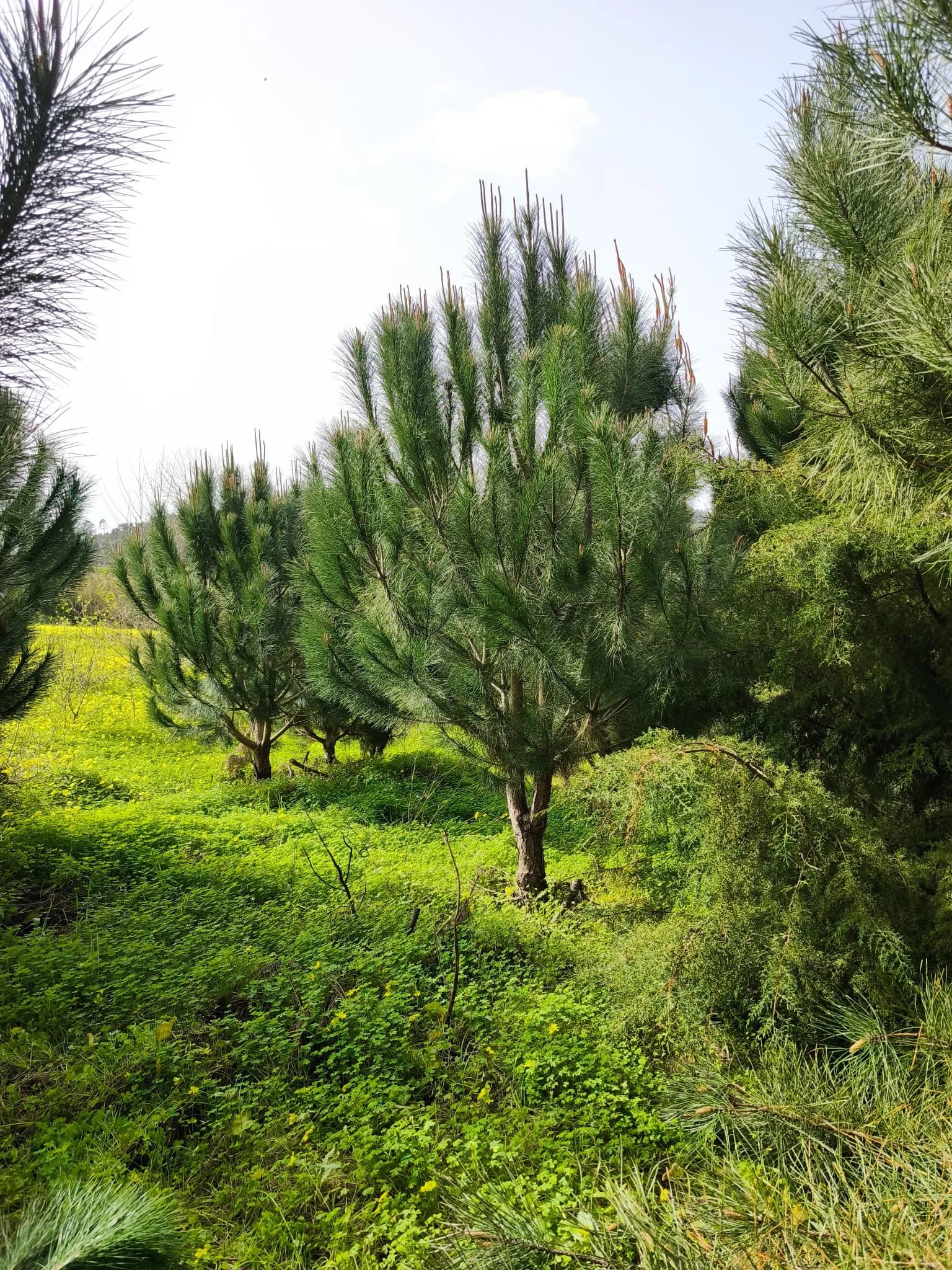 WhatsApp Image 2026-04-13 at 14.57.16 (1).jpeg