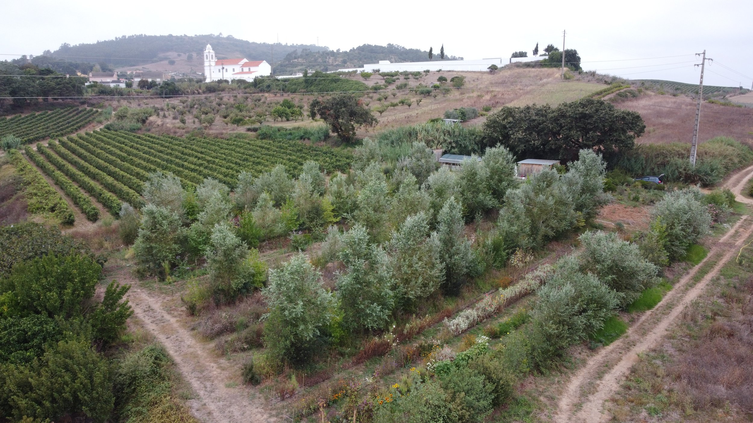 DJI_0611.JPG
