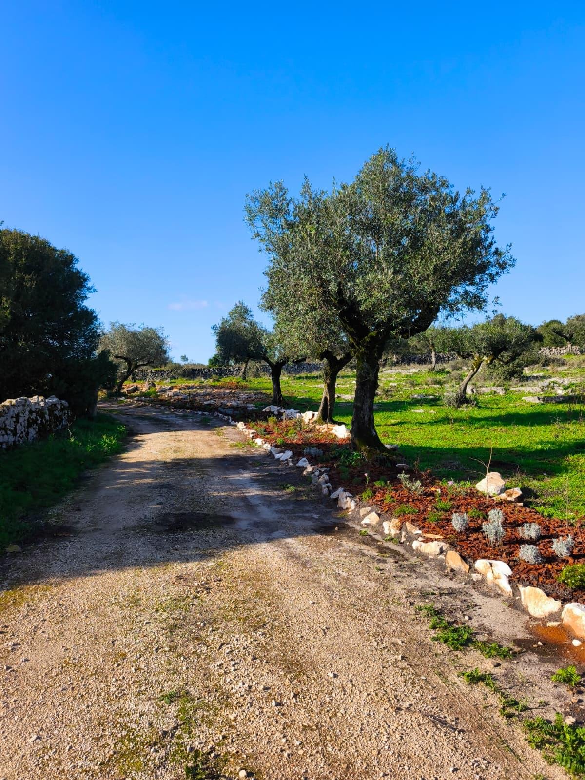 WhatsApp Image 2026-04-13 at 14.40.25 (1).jpeg