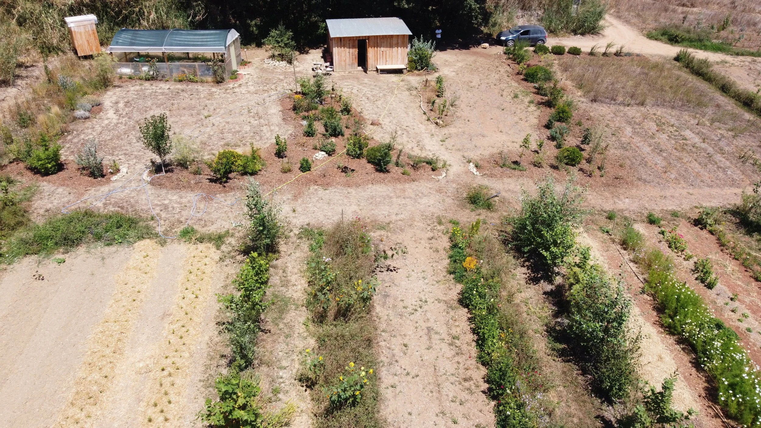 4.JPG