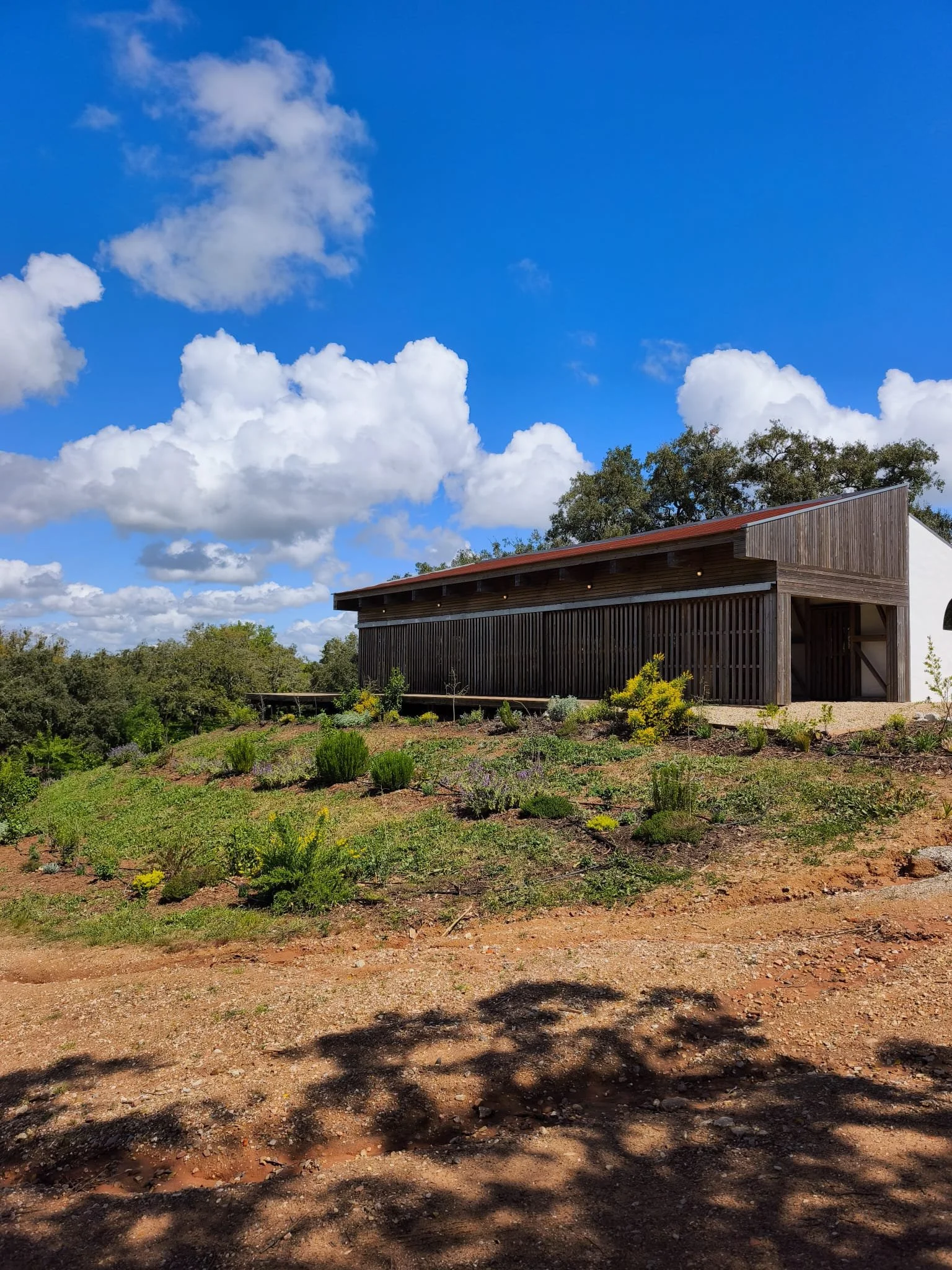 WhatsApp Image 2026-04-13 at 14.57.14 (2).jpeg