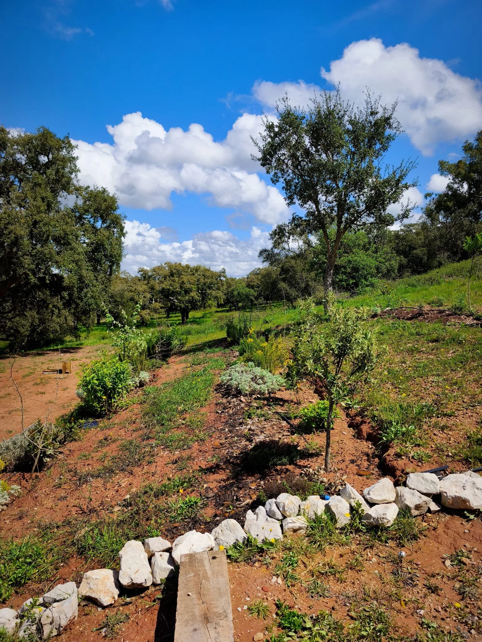 WhatsApp Image 2026-04-13 at 14.57.12.jpeg