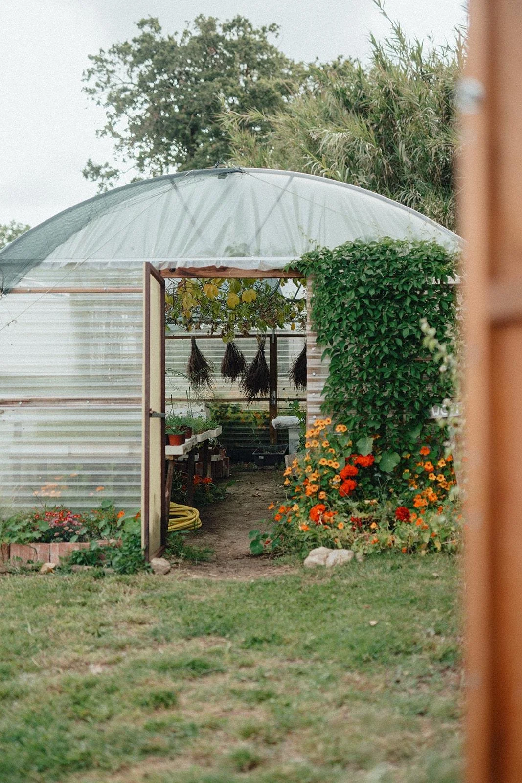 WhatsApp Image 2026-04-13 at 14.49.50 (6).jpeg