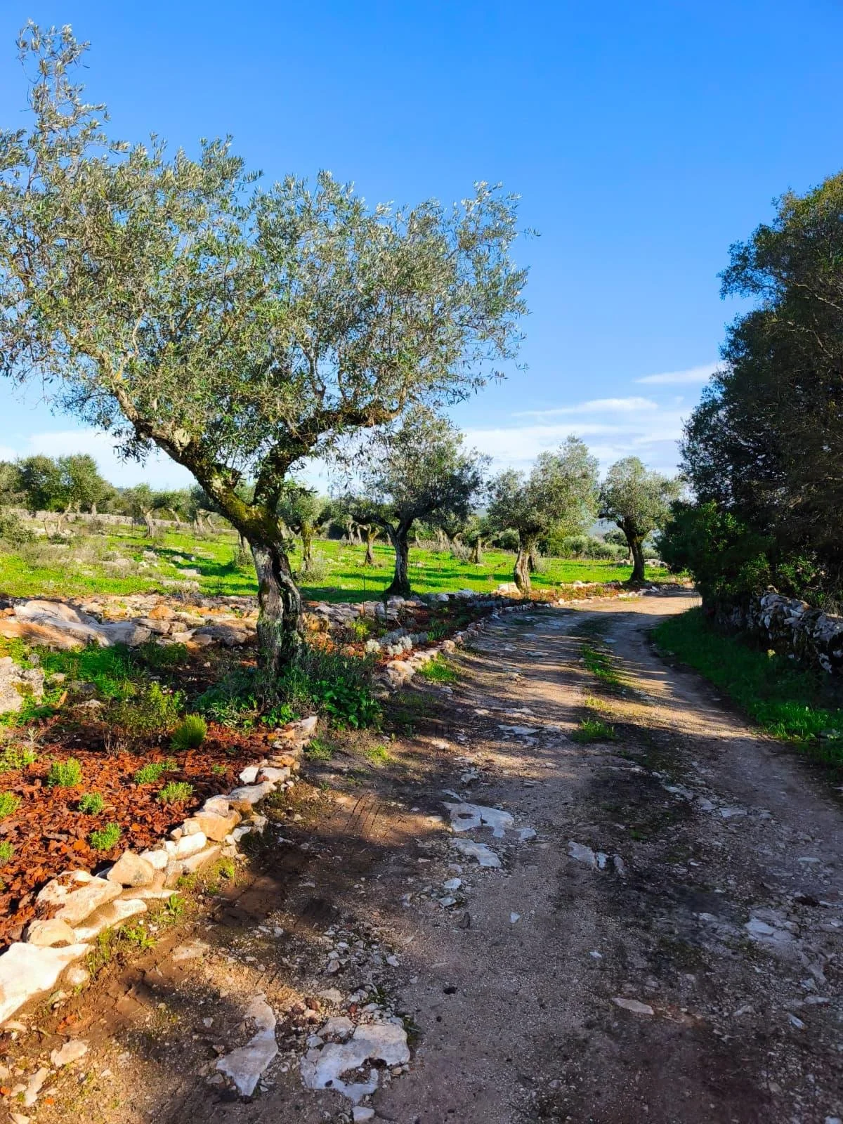 WhatsApp Image 2026-04-13 at 14.40.25.jpeg