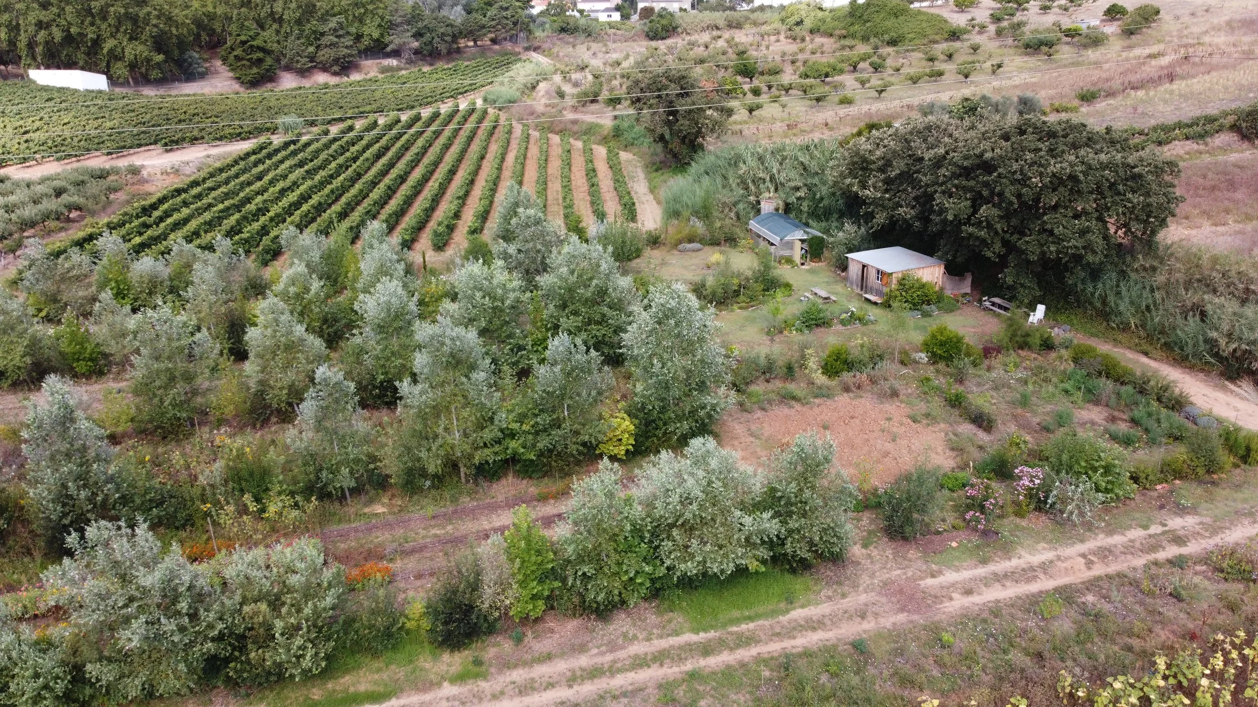 DJI_0563.JPG