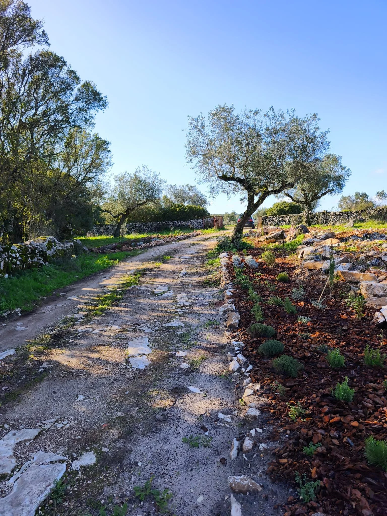 WhatsApp Image 2026-04-13 at 14.57.16 (2).jpeg