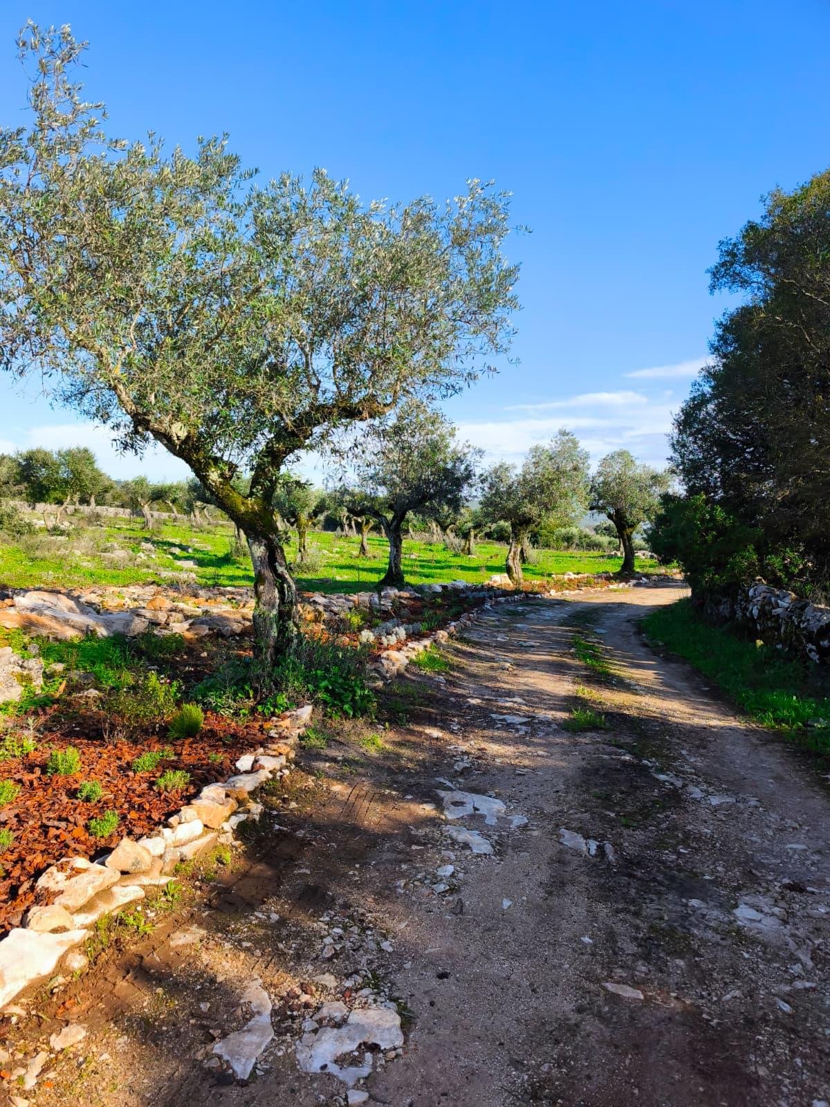 WhatsApp Image 2026-04-13 at 14.40.25.jpeg