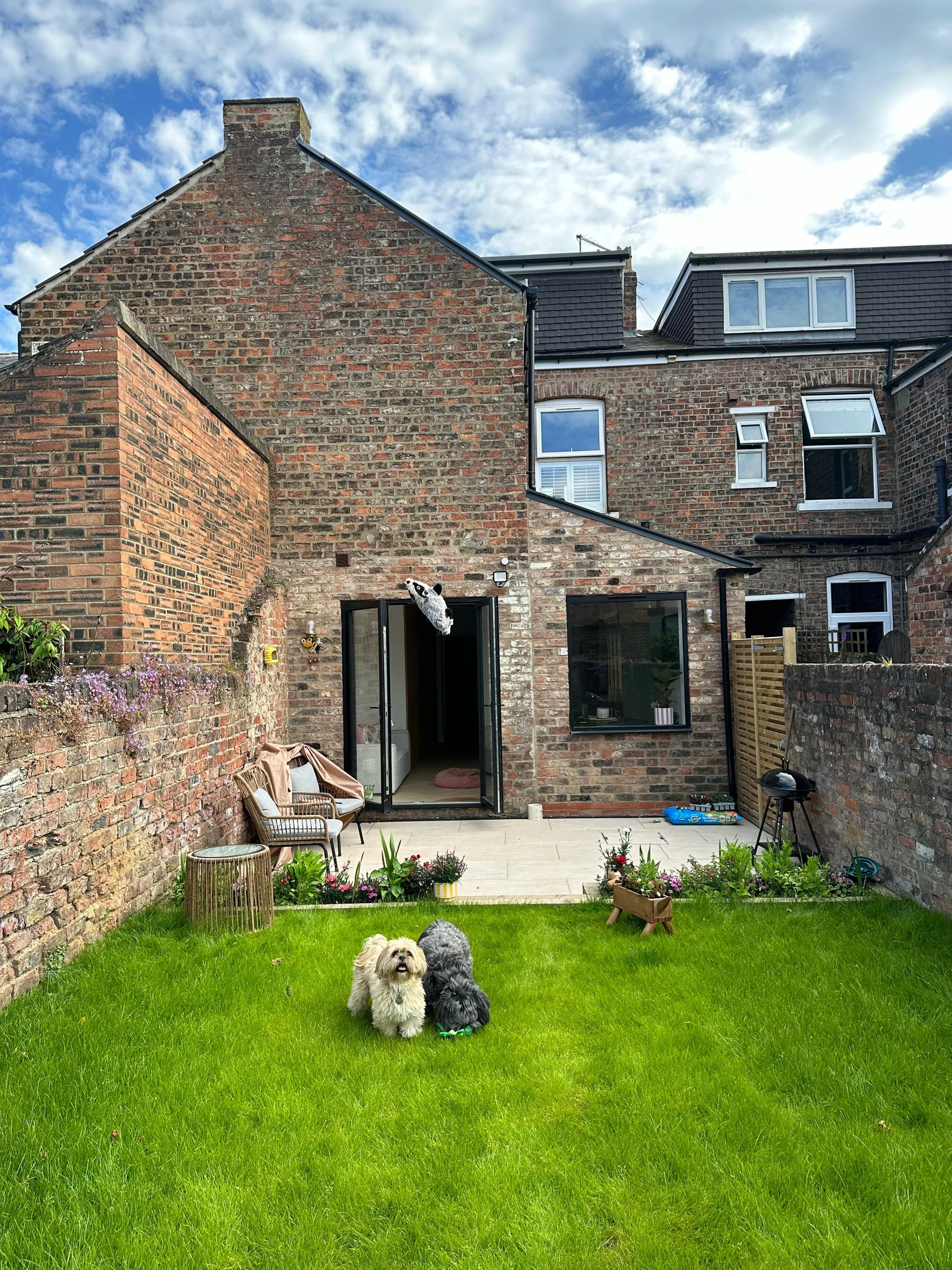 PHOTO-2026-02-19-21-16-49 (6).jpg