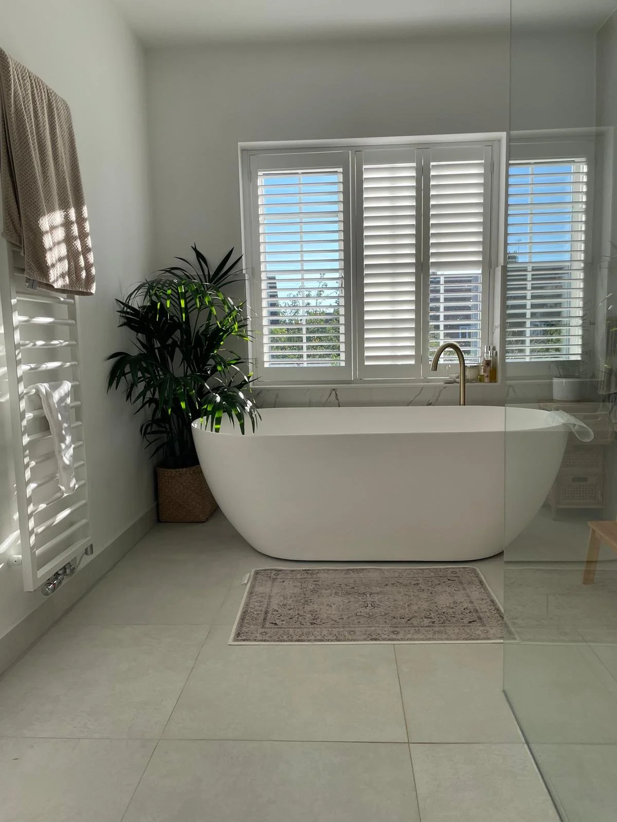 PHOTO-2026-02-19-16-15-10 (3).jpg