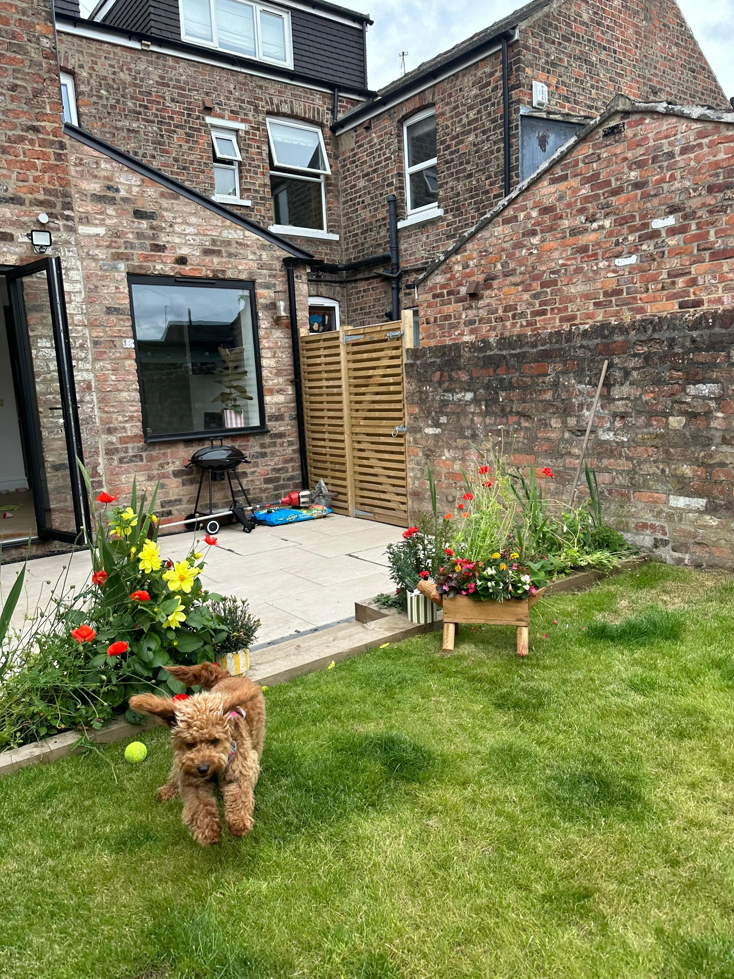 PHOTO-2026-02-19-21-16-46 (2).jpg