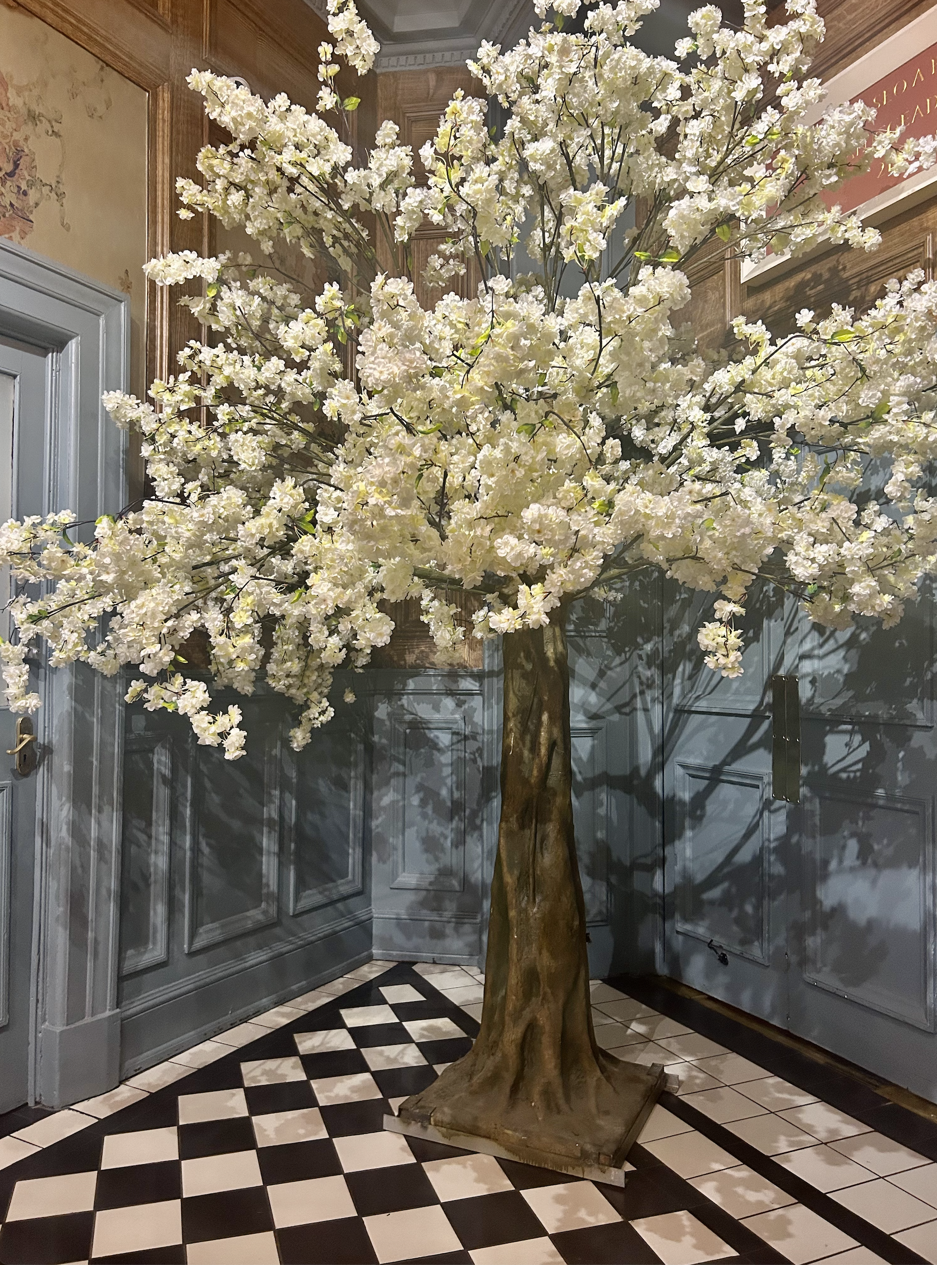Artificial cherry blossom tree with white flowers inside a building, placed near a wall with blue paneled woodwork and a checkered black and white floor.